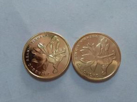 荷花5角硬币值多少钱 荷花5角硬币图片及介绍