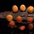 松子雕是什么東西 松子雕詳解