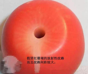 红珊瑚的纹理放大图片   红珊瑚的纹理鉴别方法