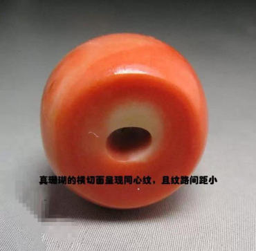 红珊瑚的纹理放大图片   红珊瑚的纹理鉴别方法