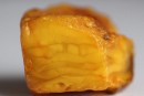 蜜蠟原石圖片   蜜蠟原石怎么看真假