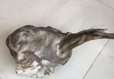 崖柏黑骨料图片 崖柏黑骨料是什么