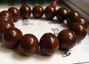 太阳子菩提是什么 太阳子菩提特征详解