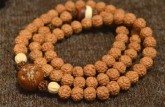 菩提子圖片種類 菩提子相關(guān)介紹