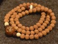 菩提子圖片種類 菩提子相關(guān)介紹