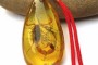 琥珀一克大約多少錢 琥珀價(jià)格影響因素