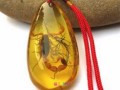 琥珀一克大約多少錢 琥珀價(jià)格影響因素