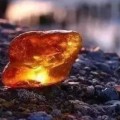 琥珀石是什么东西 琥珀石是怎么形成的