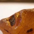 地摊上买的蜜蜡原石是真的吗   怎么鉴别蜜蜡原石