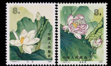上海邮币卡市场行情 上海上门回收行情