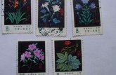 T30药用植物邮票 收藏前景广阔