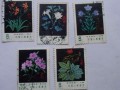 T30药用植物邮票 收藏前景广阔
