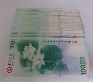 荷花钞大炮筒最新价格  荷花钞大炮筒图片