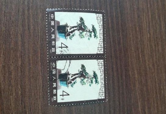 T61盆景艺术邮票 1981年盆景邮票价格