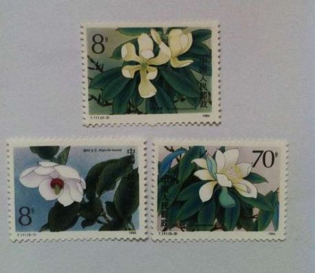 T111珍稀濒危木兰科植物邮票 收藏价值如何