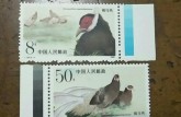 T134褐马鸡邮票 价格及图片大全