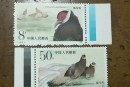 T134褐马鸡邮票 价格图片