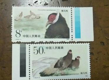T134褐马鸡邮票 价格图片
