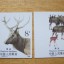 T132麋鹿邮票 T132麋鹿邮票无齿票真伪鉴别