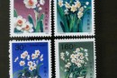 T147水仙花邮票 单枚价格及图片大全