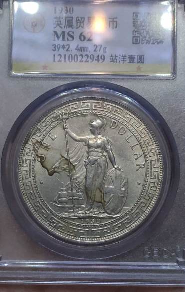 站洋1930最新价格 直径规格是多少