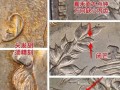 袁大頭九年中發(fā)版 袁大頭九年造值多少錢市價