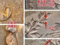 民國九年袁大頭版別詳解 九年袁大頭價(jià)格