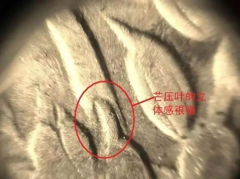 袁大頭甘肅版別特征圖詳解