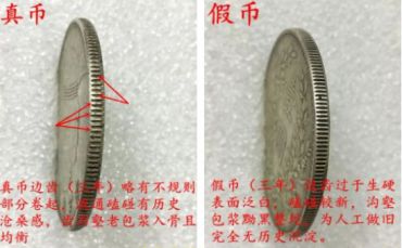袁大头五元银元最新价格 袁大头真假对比照片
