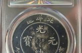 光緒元寶北洋造簡(jiǎn)介和圖片 多少錢