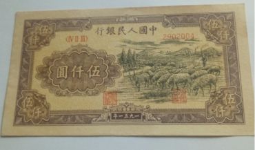 1951年五千元牧羊值多少钱 1951年5000元绵羊价值