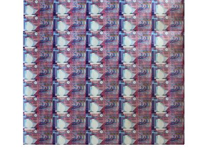 香港10元紙質公益紀念鈔最新價格 高清圖片