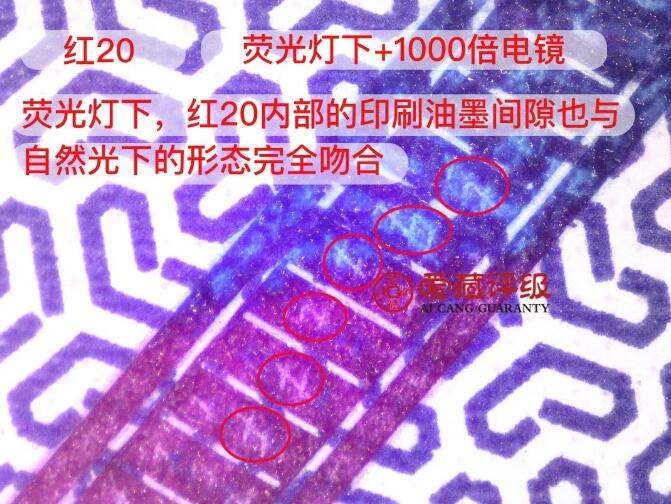 冬奧鈔紅20流水號全面公布，市場求購價已達到10000元