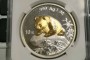 1999年熊猫金币回收价   熊猫系列金银币最新收藏价格