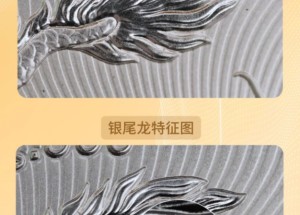 龙银币评级机构哪家好
