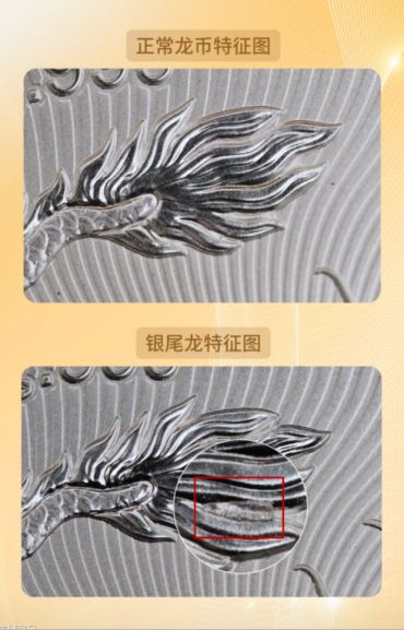 龙银币评级机构哪家好 龙银币评级机构哪家好