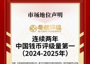 大黑拾评级选择哪个公司好