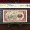 一版币评级哪个公司好？2026年藏家必看的送评指南