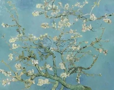 大师油画花卉高清图片，五位大师油画花卉作品欣赏