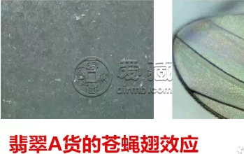 怎么样鉴别翡翠真假 鉴别翡翠图文了解
