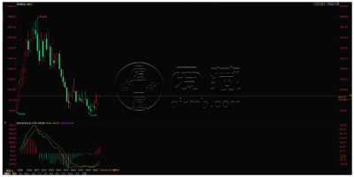 今日白金价格 2020年1月白金价格走势预测