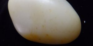 白玉原石價格 白玉原石價格及圖片