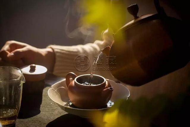 水平壶适合泡什么茶？水平壶泡茶的注意事项