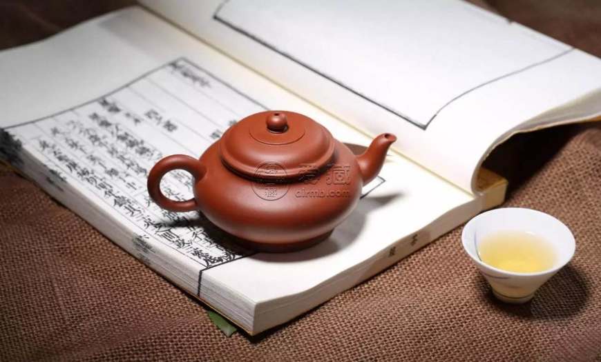 水平壶适合泡什么茶？水平壶泡茶的注意事项
