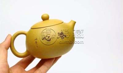 黄金段泥的优缺点分别是什么？黄金段泥适合泡什么茶？