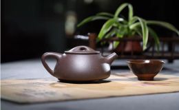 哪種紫砂泥料的透氣性最好？