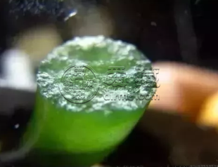 翡翠的鉴定方法及技巧 鉴定翡翠常用的三种方法