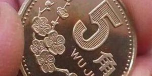 1995年5角梅花硬币回收价格表 1995的5角硬币回收报价
