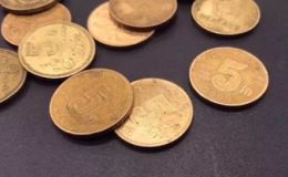 梅花伍角硬币价格表 梅花伍角硬币最新价格一览