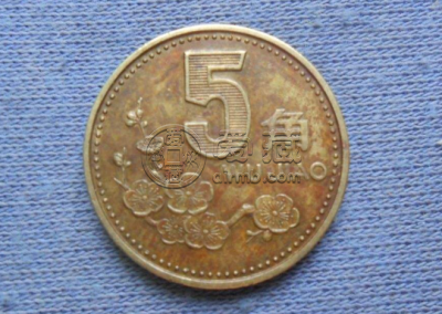 2000年的五角梅花硬币值多少钱 梅花五角硬币的市场价格